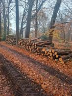 Te koop Berken om zelf te zagen, Tuin en Terras, Haardhout, 6 m³ of meer, Ophalen of Verzenden, Berkenhout, Stammen