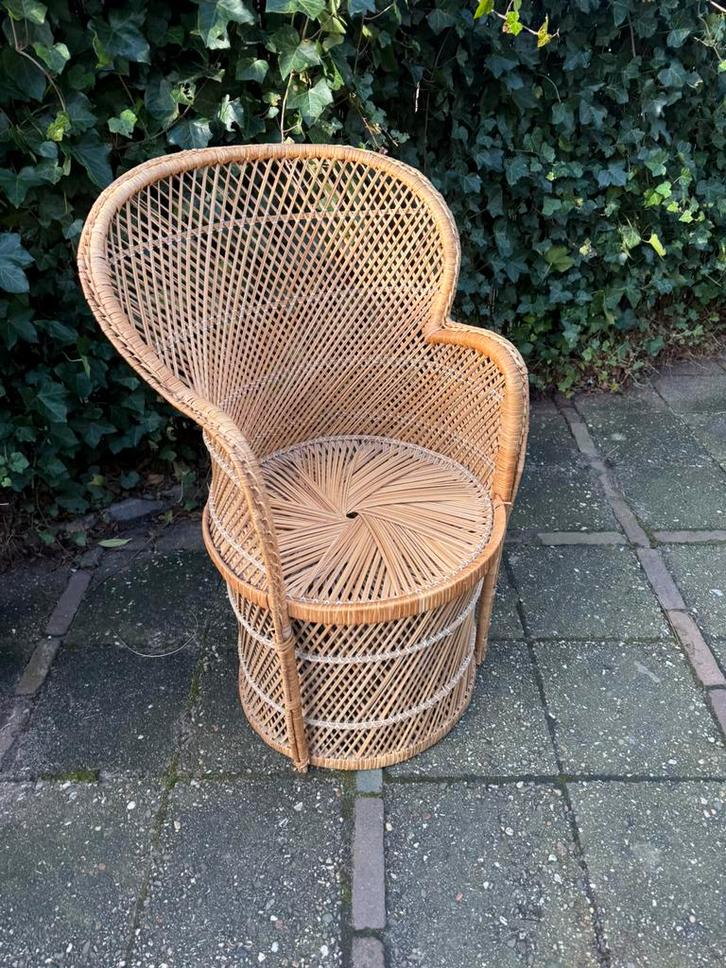 Vintage Rotan Pauwenstoel, Huis en Inrichting, Stoelen, Zo goed als nieuw, Eén, Bruin, Ophalen of Verzenden