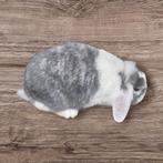 Nhd Nederlandse hangoordwerg voedster van 3 ,5 jr oud, Dieren en Toebehoren, Konijnen, Vrouwelijk, Dwerg