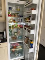 Liebherr biofresh inbouw koelkast IKB3520, Ophalen, 150 tot 200 liter, Zonder vriesvak, 60 cm of meer