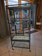 3 agapornissen + grote kooi. P, Dieren en Toebehoren, Vogels | Parkieten en Papegaaien, Meerdere dieren, Dwergpapegaai of Agapornis