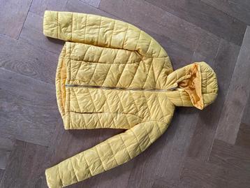 Leuke jas te koop beschikbaar voor biedingen
