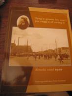 ALMELO Teeg'n groote leu mu'j joa zegg'b of zwieg'n, Boeken, Geschiedenis | Stad en Regio, Ophalen of Verzenden, Gelezen