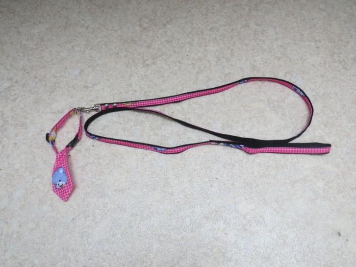 halsband met stropdas voor de hond en riem., Dieren en Toebehoren, Hondenriemen, Nieuw, Hondenriem, Ophalen of Verzenden