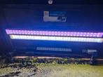 Aquarium 60cm met led verlichting compleet, Dieren en Toebehoren, Ophalen of Verzenden, Zo goed als nieuw, Leeg aquarium