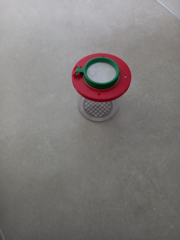 Insectenpotje met vergrootglas, Kinderen en Baby's, Speelgoed | Educatief en Creatief, Gebruikt, Ontdekken, Ophalen of Verzenden
