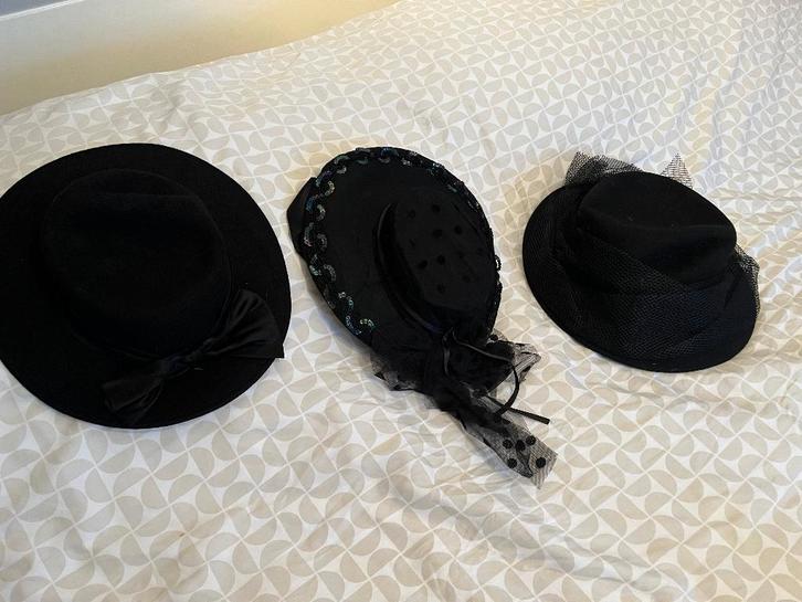 Boerenbruiloft kleding dames / carnaval/, Kleding | Dames, Carnavalskleding en Feestkleding, Gedragen, Kleding, Carnaval, Maat 42/44 (L)