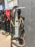 Dyon hoofdstel full bruin, Dieren en Toebehoren, Paarden en Pony's | Hoofdstellen en Tuigage, Ophalen of Verzenden, Zo goed als nieuw