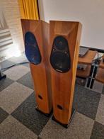 Diapason Nux ZEER MOOI, Audio, Tv en Foto, Luidsprekers, Gebruikt, 120 watt of meer, Front, Rear of Stereo speakers, Ophalen