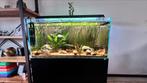 Ila aquarium 120x60x60 12mm optic white glas!!, Dieren en Toebehoren, Vissen | Aquaria en Toebehoren, Ophalen, Leeg aquarium