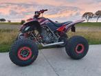 2x RAPTOR 660CC doe maar een goed bod, Motoren, Quads en Trikes
