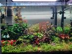 Aquascape aquarium Dennerle Chihiros lamp complete set, Dieren en Toebehoren, Ophalen of Verzenden, Leeg aquarium