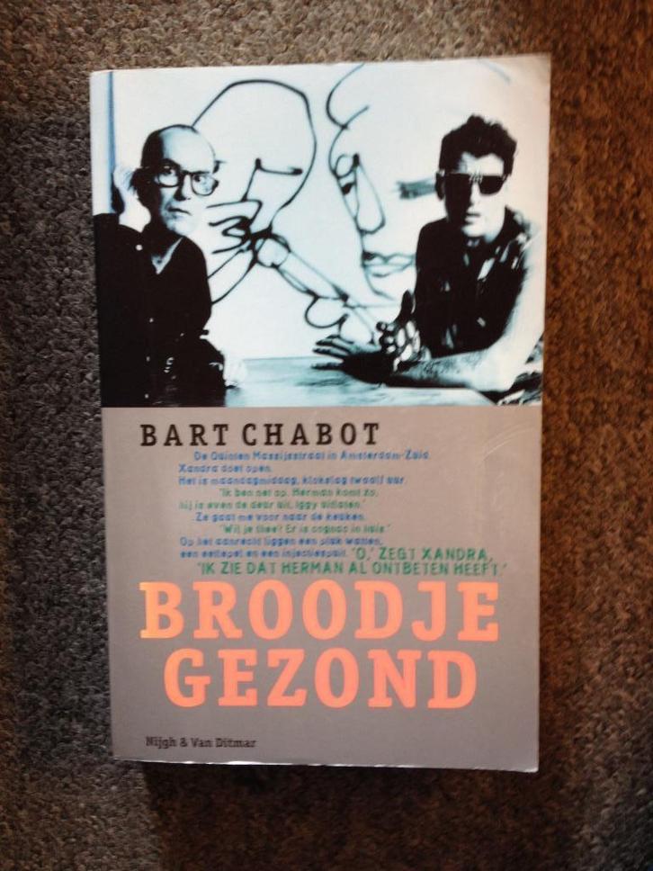 Broodje Gezond (Biografie Herman Brood 1); door Bart Chabot, Boeken, Biografieën, Gelezen, Kunst en Cultuur, Ophalen of Verzenden
