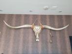 Longhorn schedel goud 170 cm breed, 50 cm hoog., Huis en Inrichting, Zo goed als nieuw, Ophalen