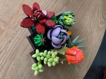 Lego Botanical collection ‘Succulents’, set 10309 beschikbaar voor biedingen