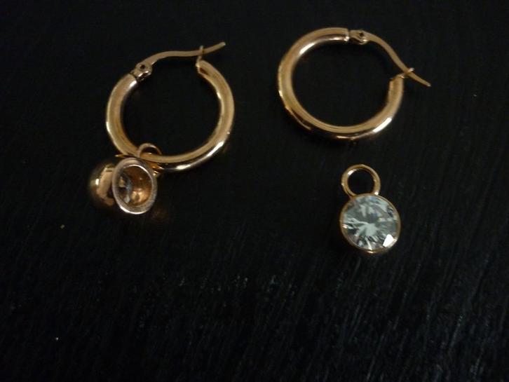 Roseplated oorbellen / Oorringen verwisselbaar  / Lucardi, Sieraden, Tassen en Uiterlijk, Oorbellen, Zo goed als nieuw, Overige materialen