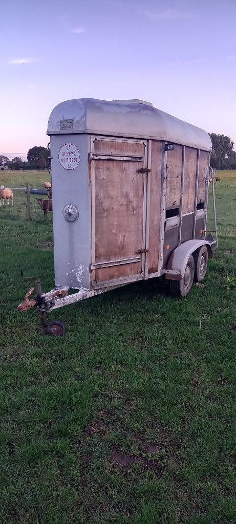Paardentrailer, Dieren en Toebehoren, Paarden en Pony's | Trailers en Aanhangwagens, Gebruikt, 1½-paards trailer, Hout, Ophalen