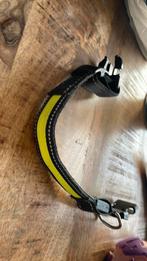 Halsband, Ophalen of Verzenden, Zo goed als nieuw