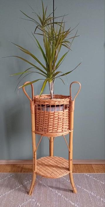 Vintage rotan bamboe plantenstandaard  beschikbaar voor biedingen