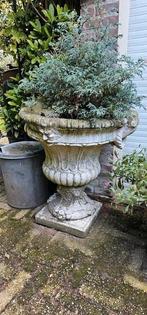 2 grote betonnen bloempotten / bloemvazen, Tuin en Terras, Bloempotten, Ophalen, 40 cm of meer, Rond, Zo goed als nieuw