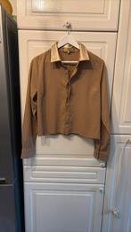 Mooie blouse maat Xl valt als L, Kleding | Dames, Ophalen of Verzenden, Zo goed als nieuw, Maat 42/44 (L), Beige