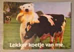 Yogho Yogho Ansichtkaart, Verzenden, 1980 tot heden, Ongelopen, Overige thema's