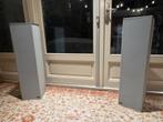 Van Medevoort BD4.5 luidsprekers, Audio, Tv en Foto, Luidsprekers, Gebruikt, 60 tot 120 watt, Front, Rear of Stereo speakers, Ophalen