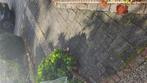 10-12 m2 betontegels. Gratis, Tuin en Terras, Grind, Keien en Split, Ophalen, Gebruikt