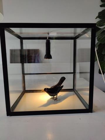 vintage glazen vitrine kastje beschikbaar voor biedingen