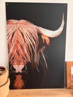 Leuke aluminium plaat, Ophalen