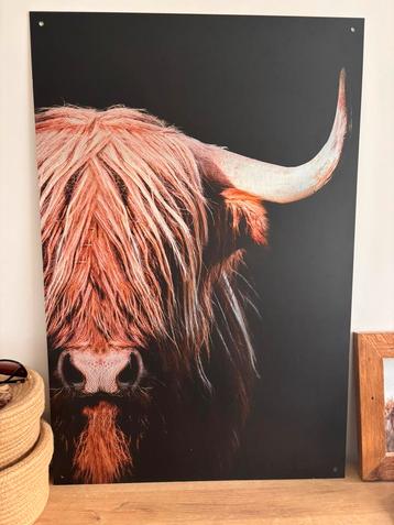 Leuke aluminium plaat beschikbaar voor biedingen