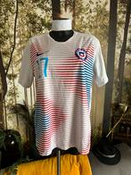 Nike chili uitshirt 2019 nr17 medel maat L, Ophalen of Verzenden, Nike, Nike, Voetbal
