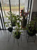 Set van 4 plantenbakken (incl plant) met metalen standaards, Gebruikt, Minder dan 60 cm, Rond, Ophalen of Verzenden