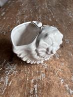 Witte Schelp Bloempot, Tuin en Terras, Bloempotten, Ophalen of Verzenden, Gebruikt, Overige vormen