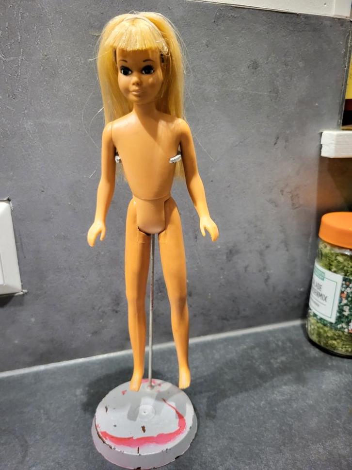 Vintage barbie skipper, Verzamelen, Poppen, Zo goed als nieuw, Ophalen of Verzenden