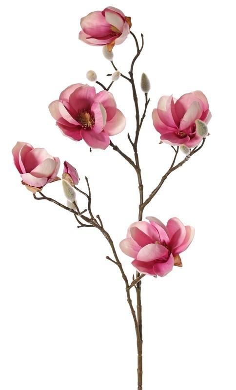 Adv 7 magnolia, Huis en Inrichting, Woonaccessoires | Kunstplanten en Kunstbloemen, Ophalen of Verzenden