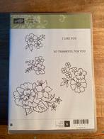 Stampin' Up! I Like You Stempelset, Hobby en Vrije tijd, Ophalen of Verzenden, Zo goed als nieuw, Clearstamp