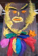 Struisvogelveren, Carnaval, ., Nieuw, Onbekend