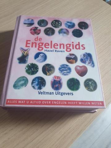 H. Raven - De engelengids beschikbaar voor biedingen