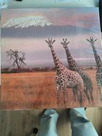 Giraf Schilderij op Canvas, Minder dan 50 cm, Ophalen of Verzenden, Zo goed als nieuw, Schilderij
