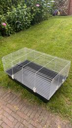 Knaagdier kooi hamster kavia, Dieren en Toebehoren, Minder dan 75 cm, Zo goed als nieuw, Ophalen, Minder dan 60 cm