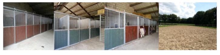 Vol Pension!, Dieren en Toebehoren, Stalling en Weidegang, Stalling, Weidegang, Toebehoren, 2 of 3 paarden of pony's