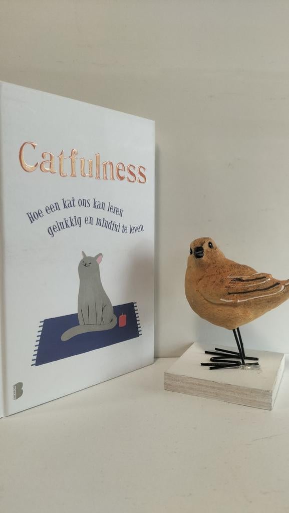 Valentino, Paolo; Catfulness, Ophalen of Verzenden, Gelezen