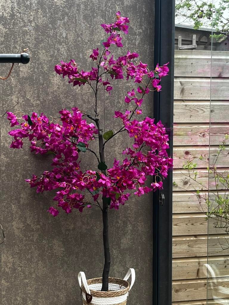 Bougainvillea op stam kunst 1.50 cm, Ophalen of Verzenden, Zo goed als nieuw, Binnen