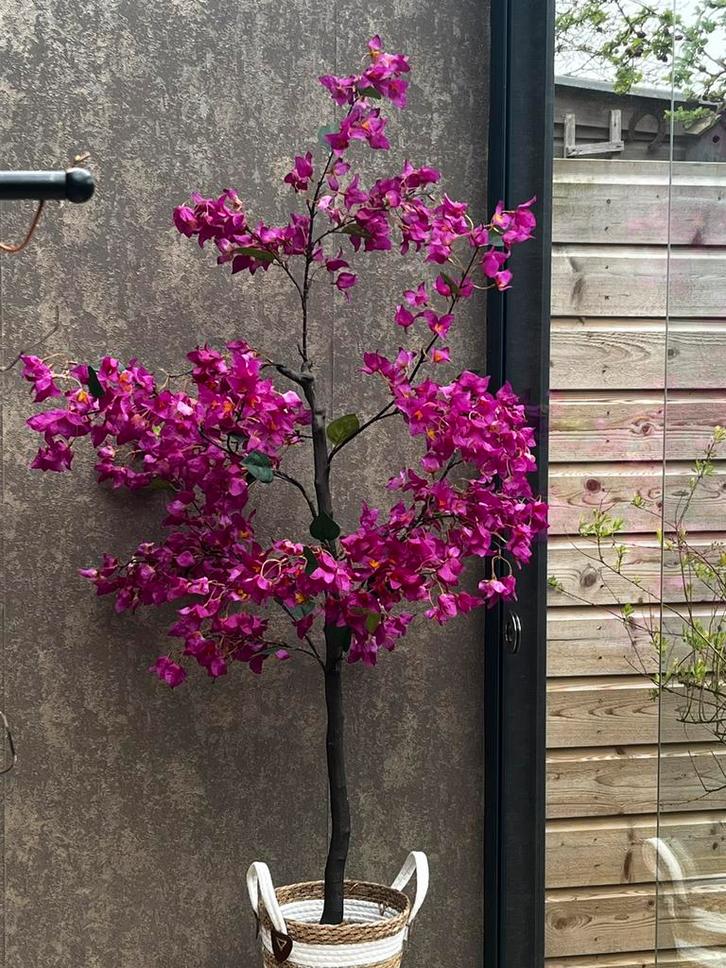 Bougainvillea op stam kunst 1.50 cm, Huis en Inrichting, Woonaccessoires | Kunstplanten en Kunstbloemen, Zo goed als nieuw, Binnen