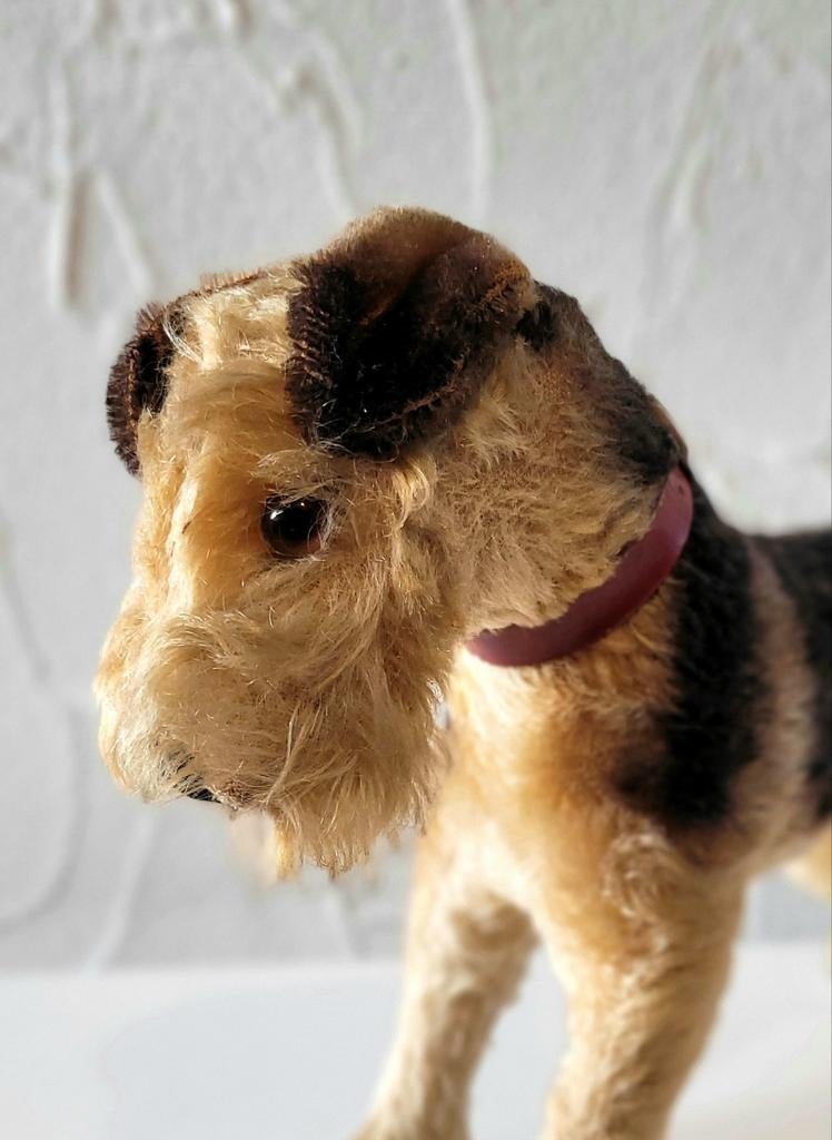 STEIFF Klassieker: Vintage Airedale terriër 'Terry', Ophalen of Verzenden