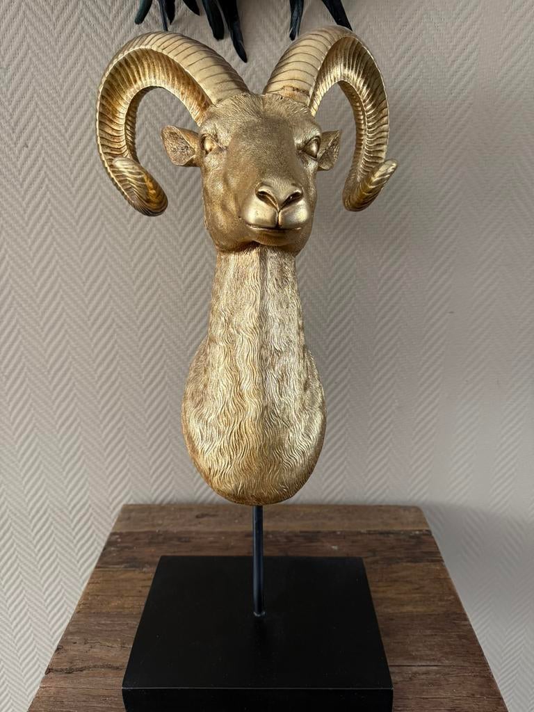 Steenbok beeld, Ophalen