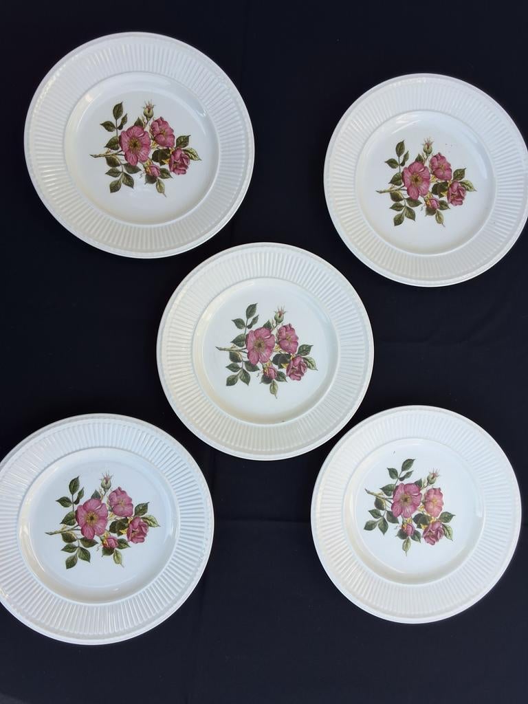 Wedgwood Briar Rose, Ophalen of Verzenden, Zo goed als nieuw, Bord(en), Wedgwood