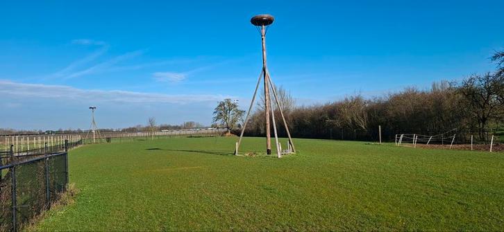 Stalling aangeboden, Dieren en Toebehoren, Stalling en Weidegang, Stalling