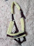 Eskadron blackberry halster cob, Dieren en Toebehoren, Ophalen of Verzenden, Overige soorten